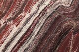 Polished Snakeskin Jasper Slab - Western Australia #221498-1